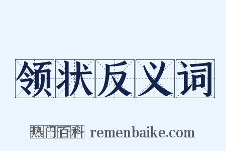 领状反义词是什么意思的图片